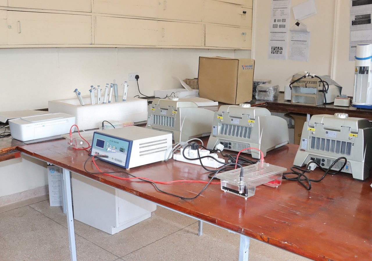 Crop Molecular Laboratory boosting Egerton University's research capabilities 