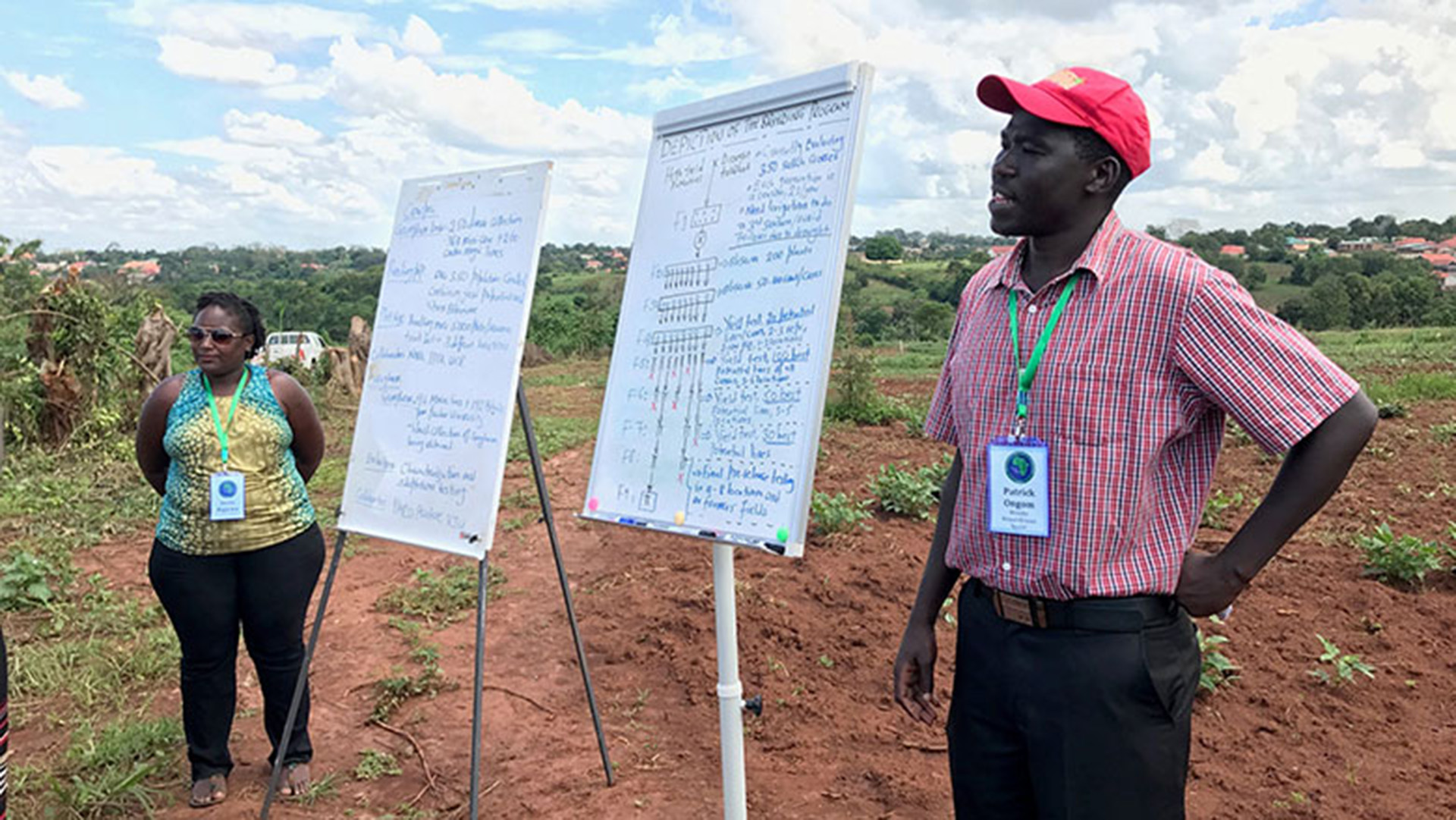 Crop breeding research at Makerere University Regional Centre for Crop Improvement (MaRCCI), Uganda.