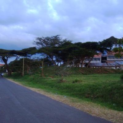 Dsc01244